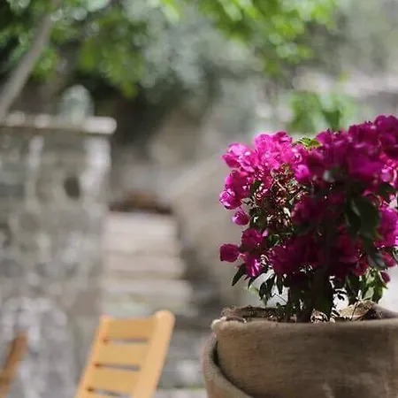 Pensión Sanart & Loca Garden Bergama