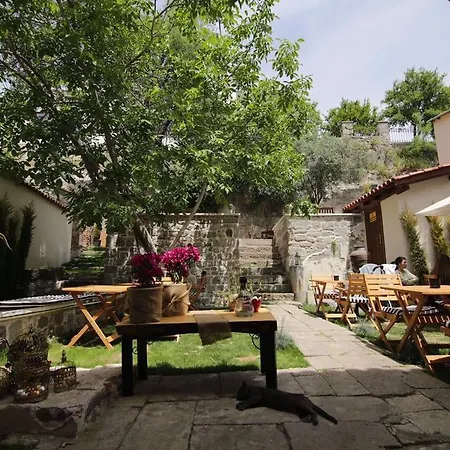 Pensión Sanart & Loca Garden *