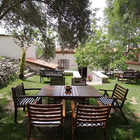 Sanart & Loca Garden