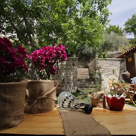 Pensión Sanart & Loca Garden Bergama