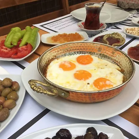 Sanart & Loca Garden Pensión *