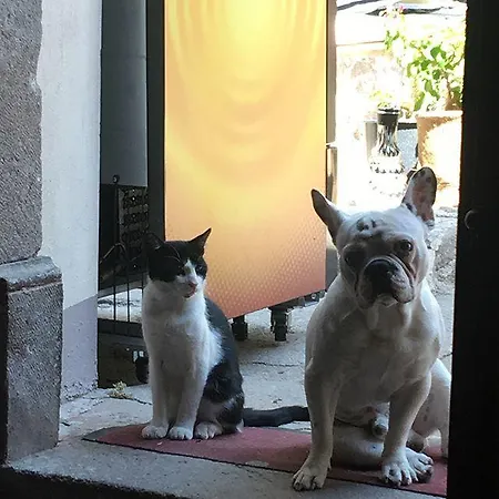 Sanart & Loca Garden *