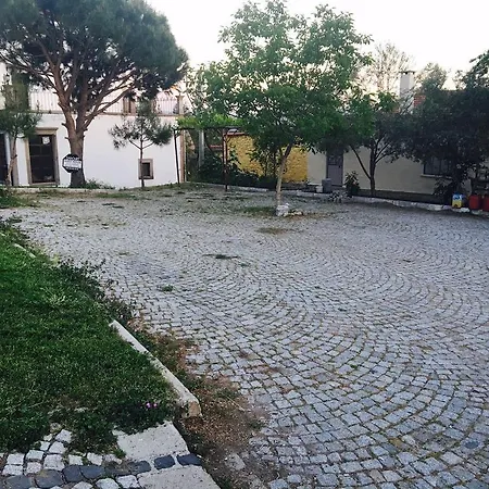 Sanart & Loca Garden