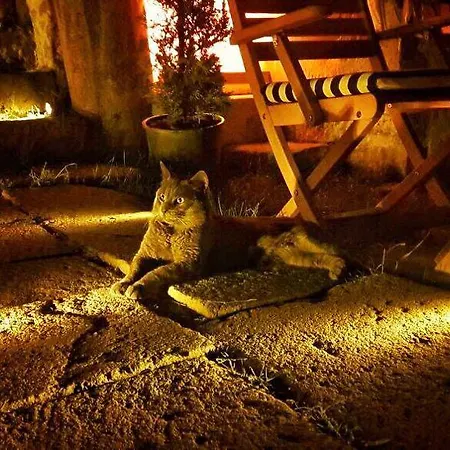 Sanart & Loca Garden Bergama