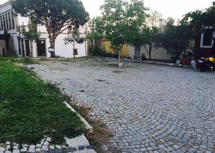 Sanart & Loca Garden