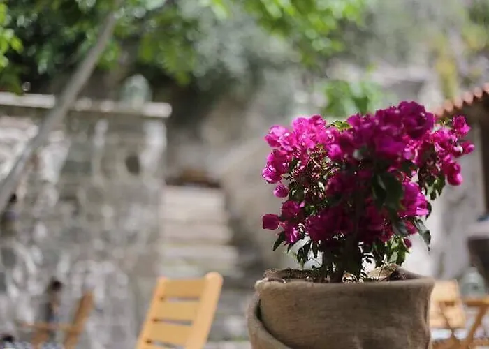 Pensionat Sanart & Loca Garden Bergama