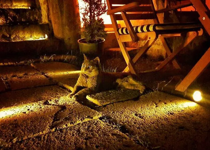 Sanart & Loca Garden Bergama